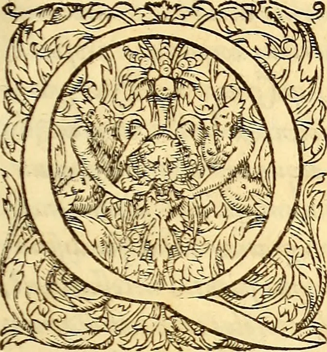 An illustration from Gvlielmi Rondeletii ... Libri de piscibus marinis, in quibus veræ piscium effigies expressæ sunt .., 1554, leaf 14