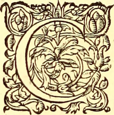 An illustration from Gvlielmi Rondeletii ... Libri de piscibus marinis, in quibus veræ piscium effigies expressæ sunt .., 1554, leaf 145