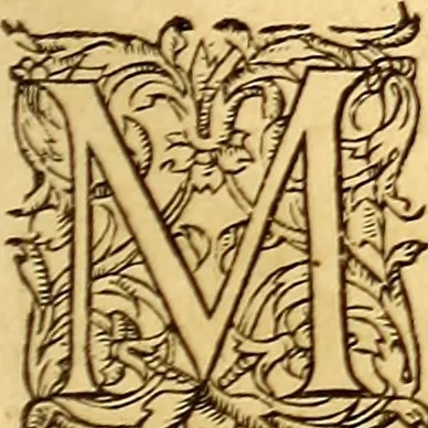 An illustration from Gvlielmi Rondeletii ... Libri de piscibus marinis, in quibus veræ piscium effigies expressæ sunt .., 1554, leaf 146