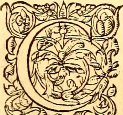 An illustration from Gvlielmi Rondeletii ... Libri de piscibus marinis, in quibus veræ piscium effigies expressæ sunt .., 1554, leaf 147