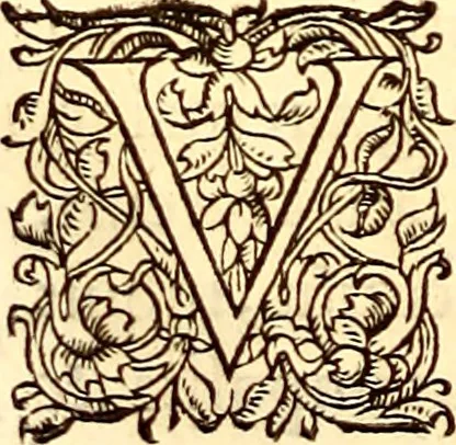 An illustration from Gvlielmi Rondeletii ... Libri de piscibus marinis, in quibus veræ piscium effigies expressæ sunt .., 1554, leaf 151