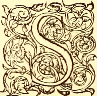 An illustration from Gvlielmi Rondeletii ... Libri de piscibus marinis, in quibus veræ piscium effigies expressæ sunt .., 1554, leaf 155