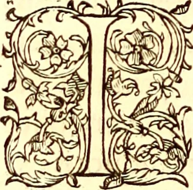 An illustration from Gvlielmi Rondeletii ... Libri de piscibus marinis, in quibus veræ piscium effigies expressæ sunt .., 1554, leaf 161