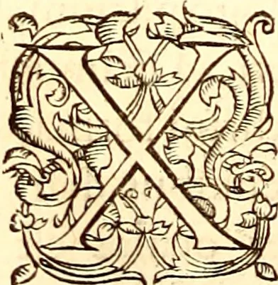An illustration from Gvlielmi Rondeletii ... Libri de piscibus marinis, in quibus veræ piscium effigies expressæ sunt .., 1554, leaf 171