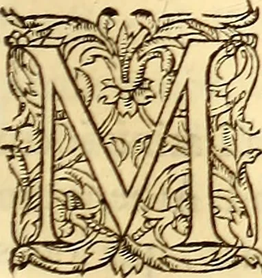 An illustration from Gvlielmi Rondeletii ... Libri de piscibus marinis, in quibus veræ piscium effigies expressæ sunt .., 1554, leaf 172