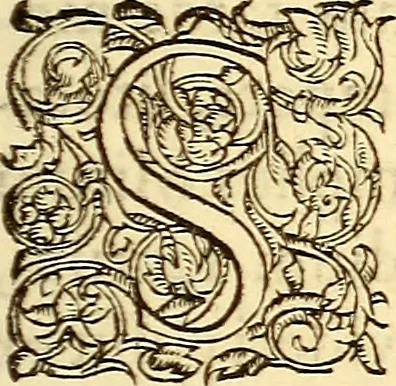 An illustration from Gvlielmi Rondeletii ... Libri de piscibus marinis, in quibus veræ piscium effigies expressæ sunt .., 1554, leaf 176