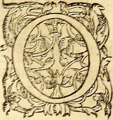 An illustration from Gvlielmi Rondeletii ... Libri de piscibus marinis, in quibus veræ piscium effigies expressæ sunt .., 1554, leaf 176