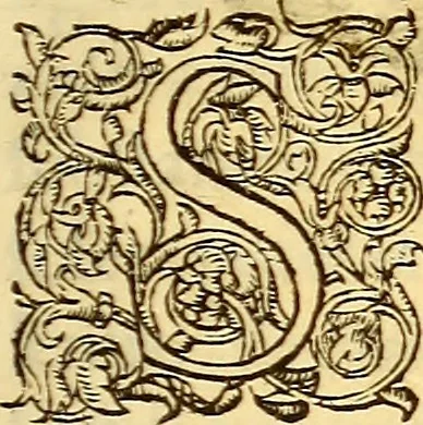 An illustration from Gvlielmi Rondeletii ... Libri de piscibus marinis, in quibus veræ piscium effigies expressæ sunt .., 1554, leaf 188
