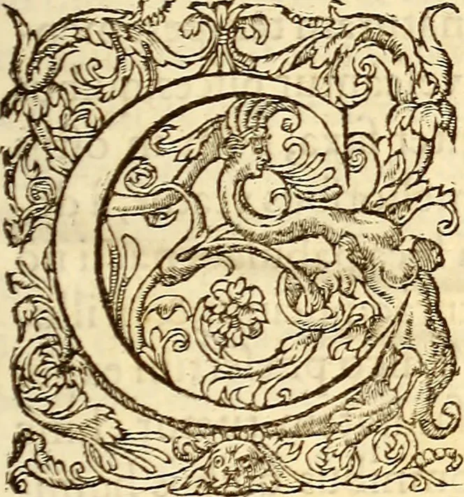An illustration from Gvlielmi Rondeletii ... Libri de piscibus marinis, in quibus veræ piscium effigies expressæ sunt .., 1554, leaf 20