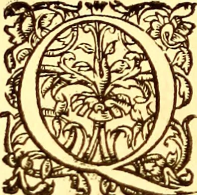 An illustration from Gvlielmi Rondeletii ... Libri de piscibus marinis, in quibus veræ piscium effigies expressæ sunt .., 1554, leaf 201