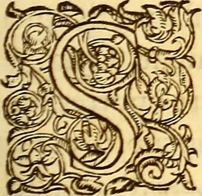 An illustration from Gvlielmi Rondeletii ... Libri de piscibus marinis, in quibus veræ piscium effigies expressæ sunt .., 1554, leaf 202