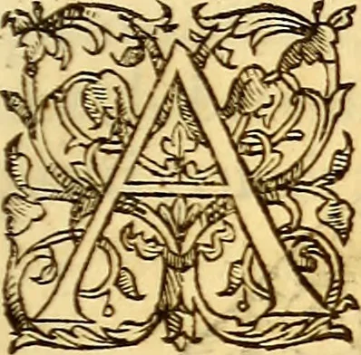 An illustration from Gvlielmi Rondeletii ... Libri de piscibus marinis, in quibus veræ piscium effigies expressæ sunt .., 1554, leaf 210