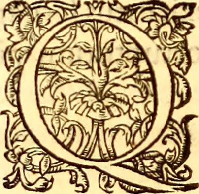 An illustration from Gvlielmi Rondeletii ... Libri de piscibus marinis, in quibus veræ piscium effigies expressæ sunt .., 1554, leaf 211
