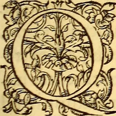 An illustration from Gvlielmi Rondeletii ... Libri de piscibus marinis, in quibus veræ piscium effigies expressæ sunt .., 1554, leaf 212