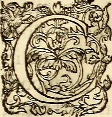 An illustration from Gvlielmi Rondeletii ... Libri de piscibus marinis, in quibus veræ piscium effigies expressæ sunt .., 1554, leaf 22