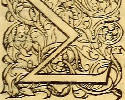 An illustration from Gvlielmi Rondeletii ... Libri de piscibus marinis, in quibus veræ piscium effigies expressæ sunt .., 1554, leaf 220