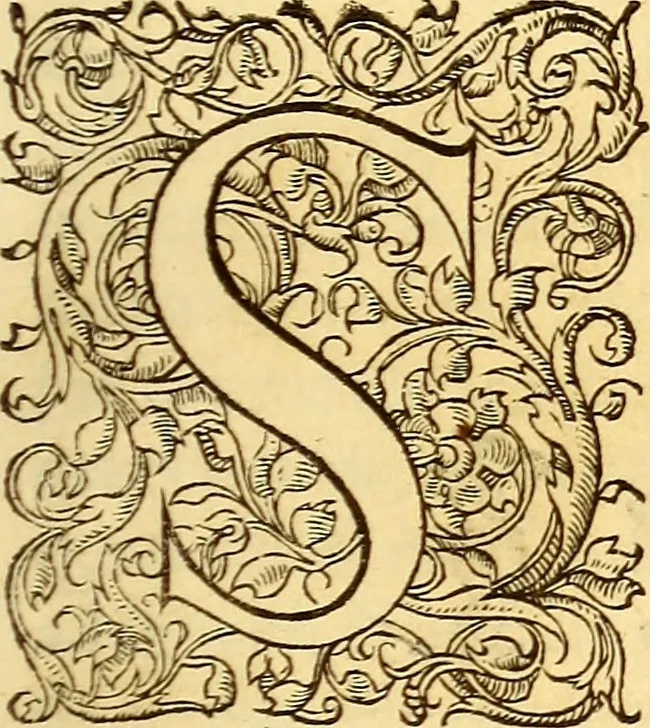 An illustration from Gvlielmi Rondeletii ... Libri de piscibus marinis, in quibus veræ piscium effigies expressæ sunt .., 1554, leaf 226