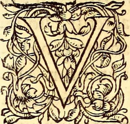 An illustration from Gvlielmi Rondeletii ... Libri de piscibus marinis, in quibus veræ piscium effigies expressæ sunt .., 1554, leaf 233