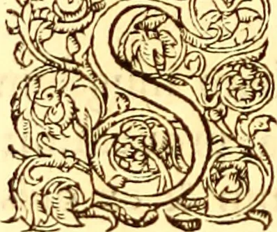 An illustration from Gvlielmi Rondeletii ... Libri de piscibus marinis, in quibus veræ piscium effigies expressæ sunt .., 1554, leaf 233