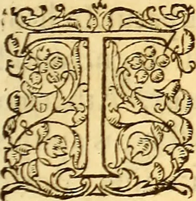 An illustration from Gvlielmi Rondeletii ... Libri de piscibus marinis, in quibus veræ piscium effigies expressæ sunt .., 1554, leaf 234