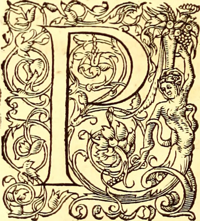 An illustration from Gvlielmi Rondeletii ... Libri de piscibus marinis, in quibus veræ piscium effigies expressæ sunt .., 1554, leaf 243