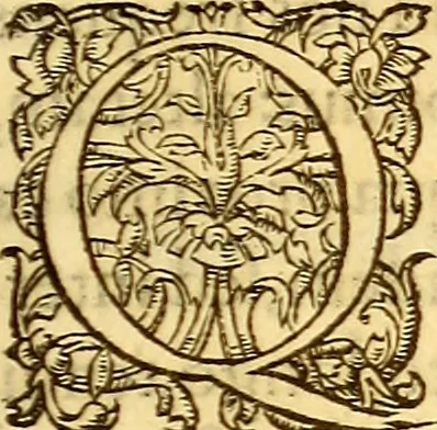 An illustration from Gvlielmi Rondeletii ... Libri de piscibus marinis, in quibus veræ piscium effigies expressæ sunt .., 1554, leaf 246