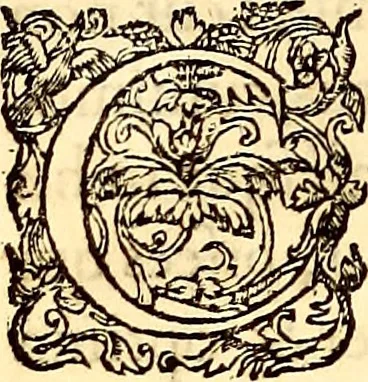 An illustration from Gvlielmi Rondeletii ... Libri de piscibus marinis, in quibus veræ piscium effigies expressæ sunt .., 1554, leaf 25