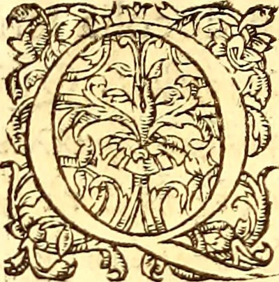 An illustration from Gvlielmi Rondeletii ... Libri de piscibus marinis, in quibus veræ piscium effigies expressæ sunt .., 1554, leaf 257