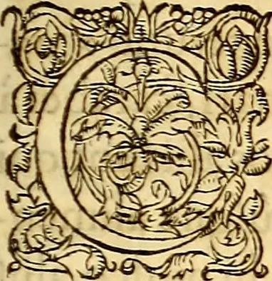 An illustration from Gvlielmi Rondeletii ... Libri de piscibus marinis, in quibus veræ piscium effigies expressæ sunt .., 1554, leaf 26