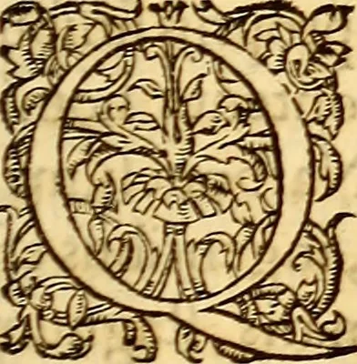An illustration from Gvlielmi Rondeletii ... Libri de piscibus marinis, in quibus veræ piscium effigies expressæ sunt .., 1554, leaf 26