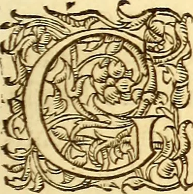An illustration from Gvlielmi Rondeletii ... Libri de piscibus marinis, in quibus veræ piscium effigies expressæ sunt .., 1554, leaf 268