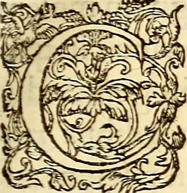 An illustration from Gvlielmi Rondeletii ... Libri de piscibus marinis, in quibus veræ piscium effigies expressæ sunt .., 1554, leaf 28