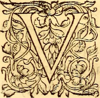 An illustration from Gvlielmi Rondeletii ... Libri de piscibus marinis, in quibus veræ piscium effigies expressæ sunt .., 1554, leaf 281