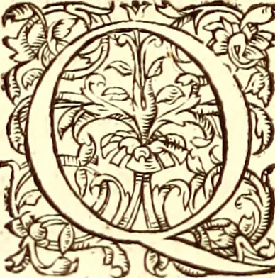 An illustration from Gvlielmi Rondeletii ... Libri de piscibus marinis, in quibus veræ piscium effigies expressæ sunt .., 1554, leaf 29