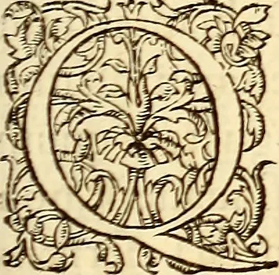 An illustration from Gvlielmi Rondeletii ... Libri de piscibus marinis, in quibus veræ piscium effigies expressæ sunt .., 1554, leaf 30