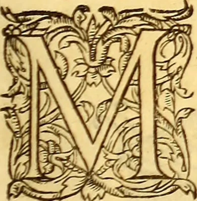 An illustration from Gvlielmi Rondeletii ... Libri de piscibus marinis, in quibus veræ piscium effigies expressæ sunt .., 1554, leaf 300
