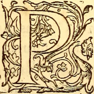 An illustration from Gvlielmi Rondeletii ... Libri de piscibus marinis, in quibus veræ piscium effigies expressæ sunt .., 1554, leaf 301