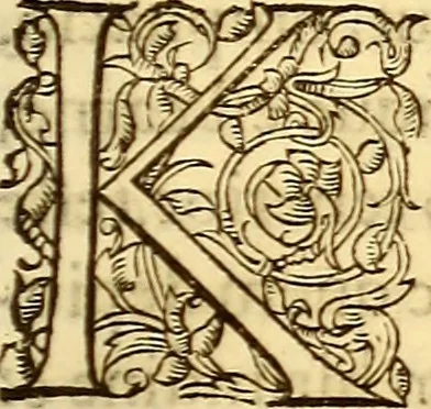 An illustration from Gvlielmi Rondeletii ... Libri de piscibus marinis, in quibus veræ piscium effigies expressæ sunt .., 1554, leaf 306