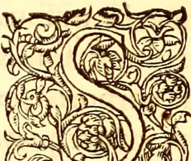 An illustration from Gvlielmi Rondeletii ... Libri de piscibus marinis, in quibus veræ piscium effigies expressæ sunt .., 1554, leaf 307