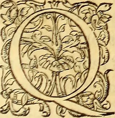 An illustration from Gvlielmi Rondeletii ... Libri de piscibus marinis, in quibus veræ piscium effigies expressæ sunt .., 1554, leaf 324