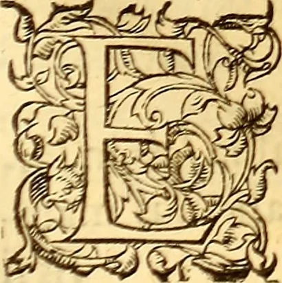 An illustration from Gvlielmi Rondeletii ... Libri de piscibus marinis, in quibus veræ piscium effigies expressæ sunt .., 1554, leaf 338