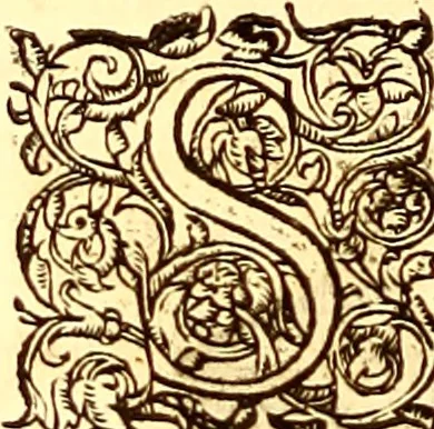 An illustration from Gvlielmi Rondeletii ... Libri de piscibus marinis, in quibus veræ piscium effigies expressæ sunt .., 1554, leaf 339