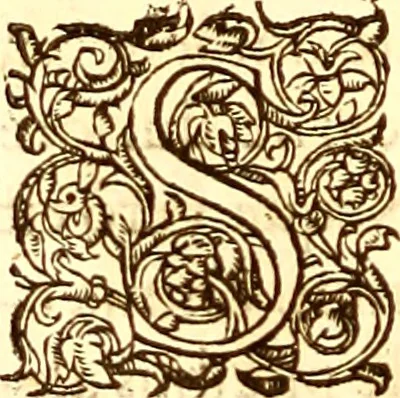 An illustration from Gvlielmi Rondeletii ... Libri de piscibus marinis, in quibus veræ piscium effigies expressæ sunt .., 1554, leaf 341