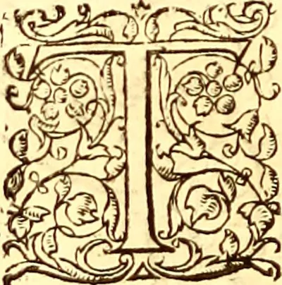 An illustration from Gvlielmi Rondeletii ... Libri de piscibus marinis, in quibus veræ piscium effigies expressæ sunt .., 1554, leaf 345
