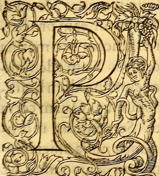 An illustration from Gvlielmi Rondeletii ... Libri de piscibus marinis, in quibus veræ piscium effigies expressæ sunt .., 1554, leaf 350