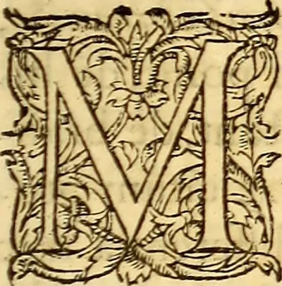 An illustration from Gvlielmi Rondeletii ... Libri de piscibus marinis, in quibus veræ piscium effigies expressæ sunt .., 1554, leaf 358