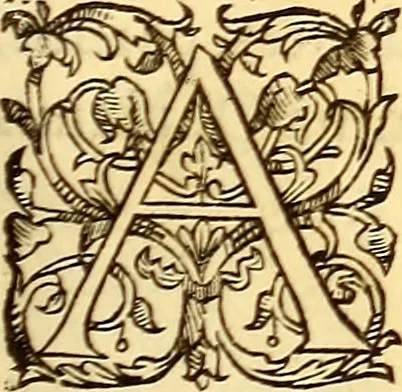 An illustration from Gvlielmi Rondeletii ... Libri de piscibus marinis, in quibus veræ piscium effigies expressæ sunt .., 1554, leaf 366