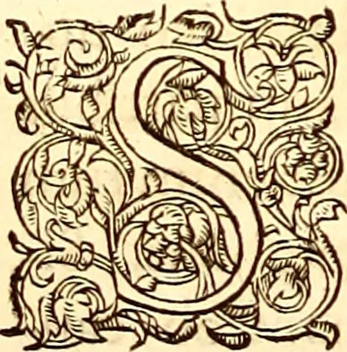 An illustration from Gvlielmi Rondeletii ... Libri de piscibus marinis, in quibus veræ piscium effigies expressæ sunt .., 1554, leaf 37
