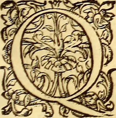 An illustration from Gvlielmi Rondeletii ... Libri de piscibus marinis, in quibus veræ piscium effigies expressæ sunt .., 1554, leaf 374