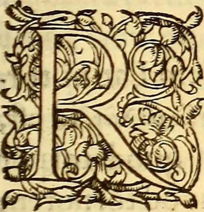 An illustration from Gvlielmi Rondeletii ... Libri de piscibus marinis, in quibus veræ piscium effigies expressæ sunt .., 1554, leaf 376